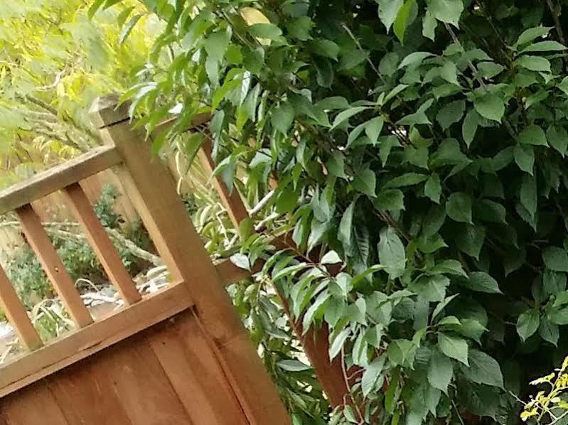 Whangarei Holiday Houses Екстериор снимка